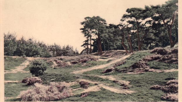 &lsquo;In Nederland is de natuur een planologische speelkaart&rsquo;